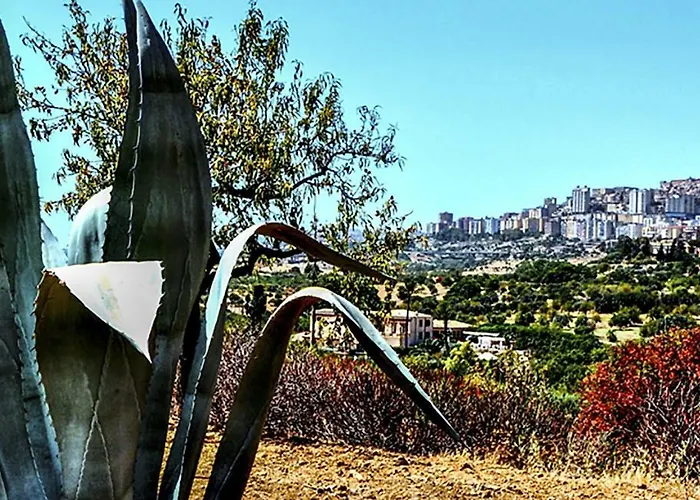 La Citta Degli Dei Bed & Breakfast 3*