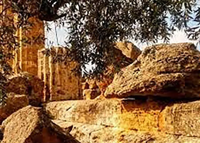 La Citta Degli Dei Bed and breakfast